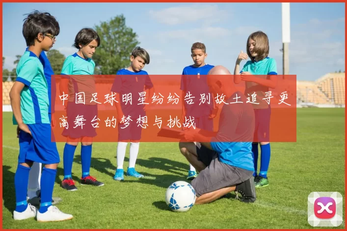 中国足球明星纷纷告别故土追寻更高舞台的梦想与挑战