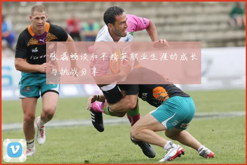 张磊畅谈和平精英职业生涯的成长与挑战分享