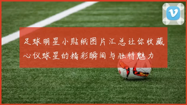 足球明星小贴纸图片汇总让你收藏心仪球星的精彩瞬间与独特魅力