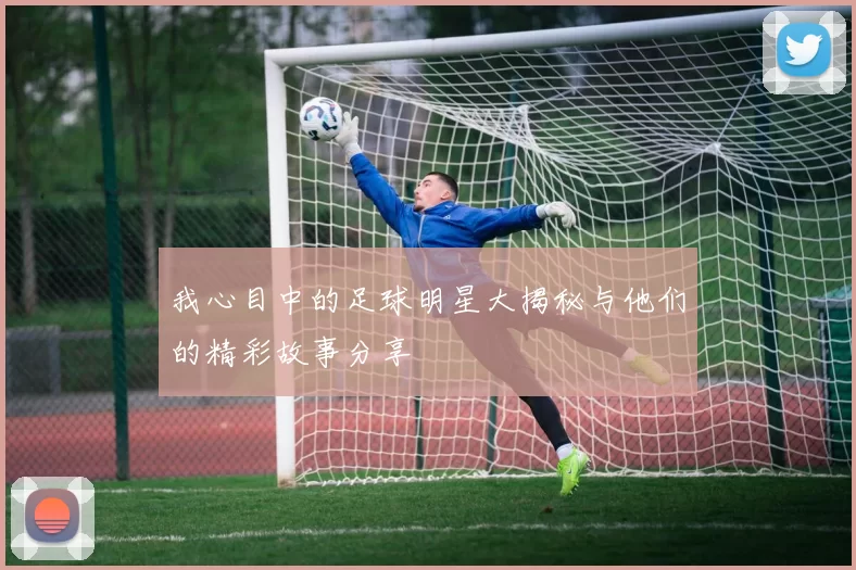 我心目中的足球明星大揭秘与他们的精彩故事分享