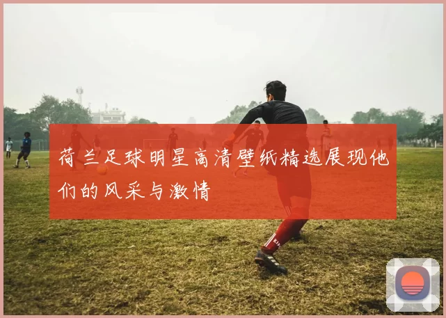 荷兰足球明星高清壁纸精选展现他们的风采与激情