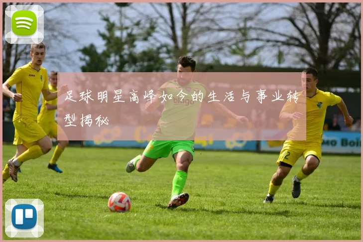 足球明星高峰如今的生活与事业转型揭秘