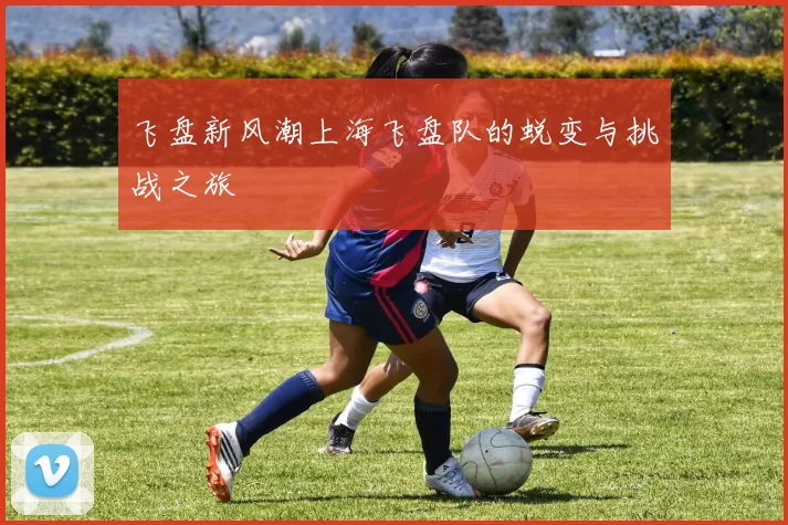 飞盘新风潮上海飞盘队的蜕变与挑战之旅