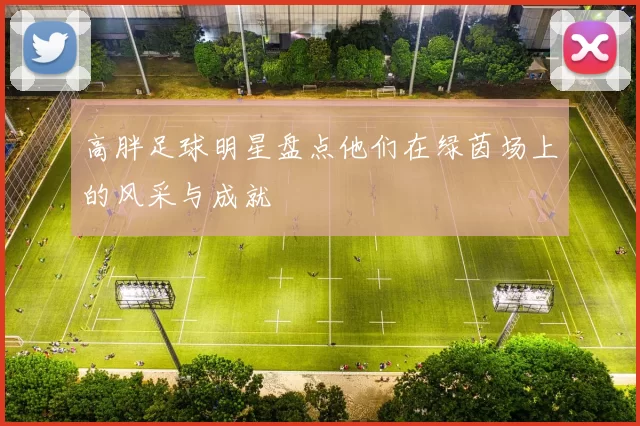 高胖足球明星盘点他们在绿茵场上的风采与成就