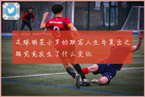 足球明星小罗的跌宕人生与复出之路究竟发生了什么变化
