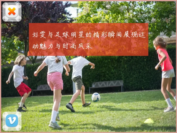 刘雯与足球明星的精彩瞬间展现运动魅力与时尚风采