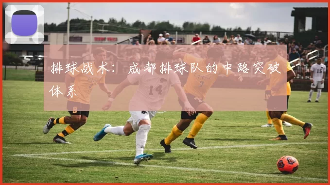 排球战术：成都排球队的中路突破体系