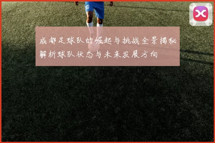 成都足球队的崛起与挑战全景揭秘解析球队状态与未来发展方向