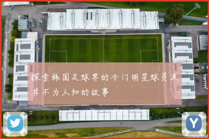 探索韩国足球界的冷门明星球员及其不为人知的故事