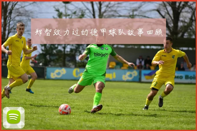 郑智效力过的德甲球队故事回顾