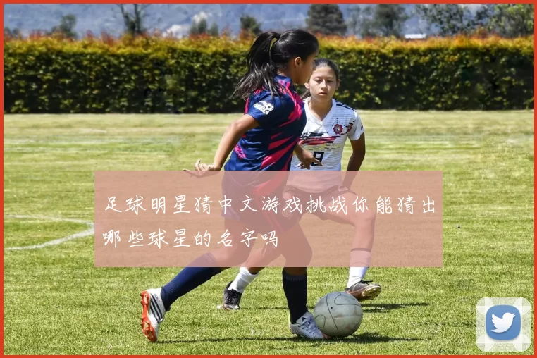 足球明星猜中文游戏挑战你能猜出哪些球星的名字吗