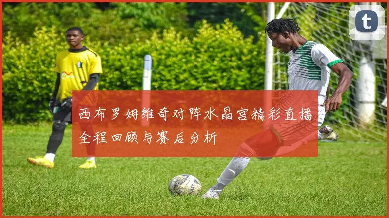 西布罗姆维奇对阵水晶宫精彩直播全程回顾与赛后分析