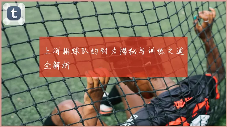 上海排球队的耐力揭秘与训练之道全解析