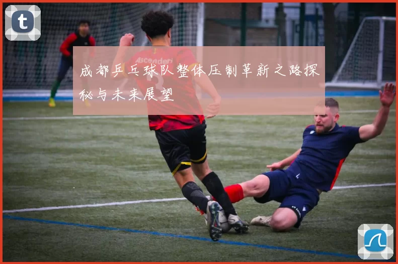 成都乒乓球队整体压制革新之路探秘与未来展望