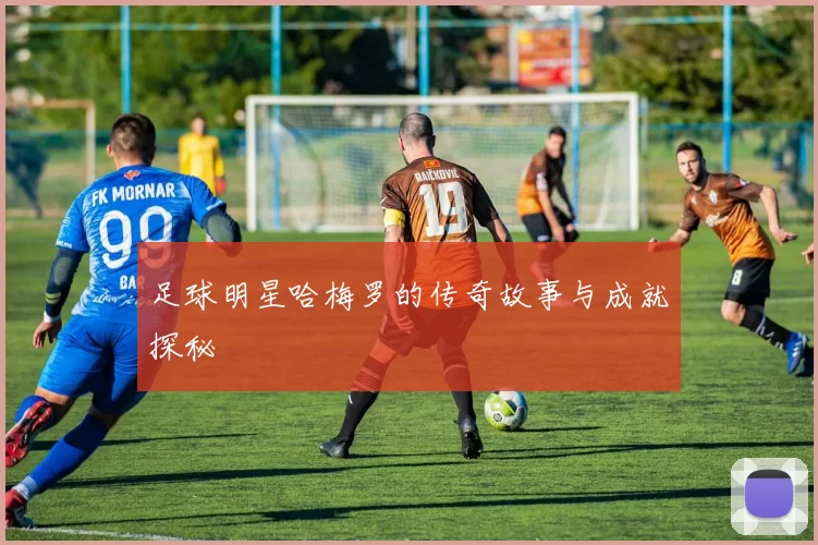 足球明星哈梅罗的传奇故事与成就探秘
