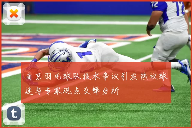 南京羽毛球队技术争议引发热议球迷与专家观点交锋分析