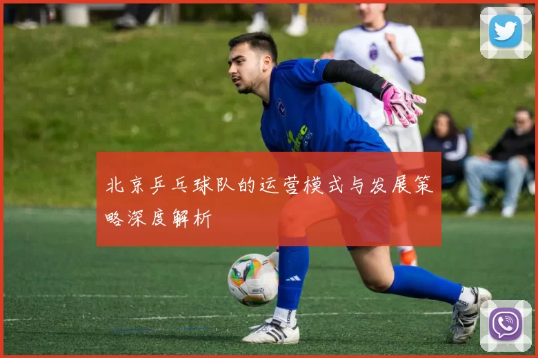 北京乒乓球队的运营模式与发展策略深度解析