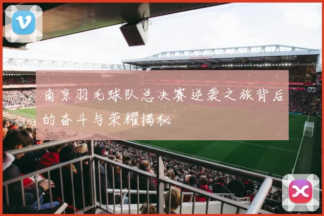 南京羽毛球队总决赛逆袭之旅背后的奋斗与荣耀揭秘