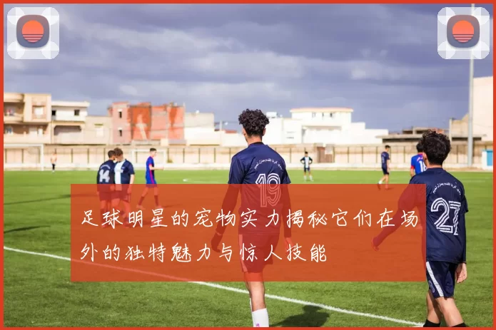 足球明星的宠物实力揭秘它们在场外的独特魅力与惊人技能