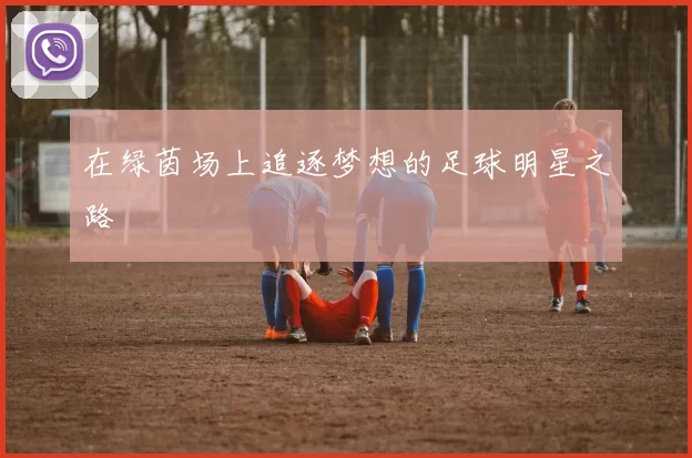 在绿茵场上追逐梦想的足球明星之路