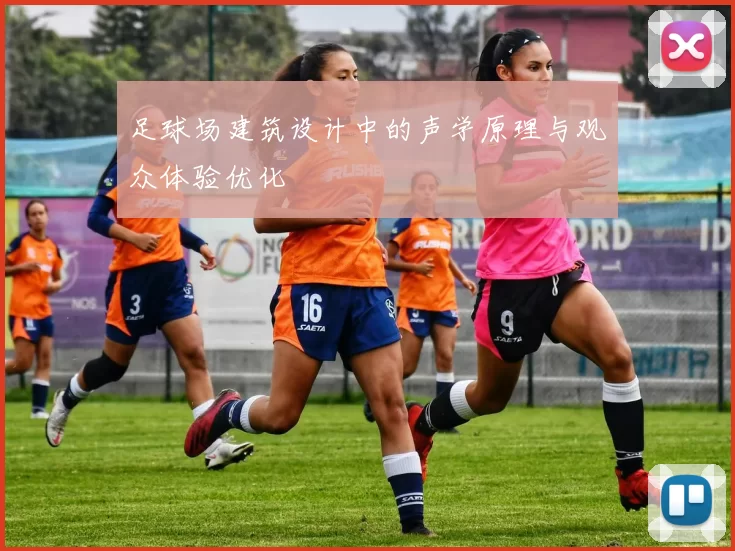 足球场建筑设计中的声学原理与观众体验优化