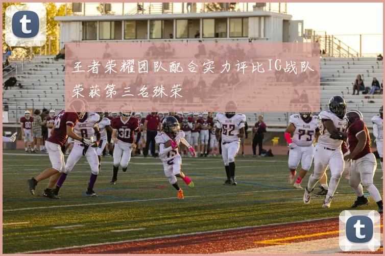 王者荣耀团队配合实力评比IG战队荣获第三名殊荣