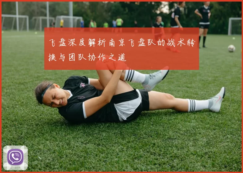 飞盘深度解析南京飞盘队的战术转换与团队协作之道