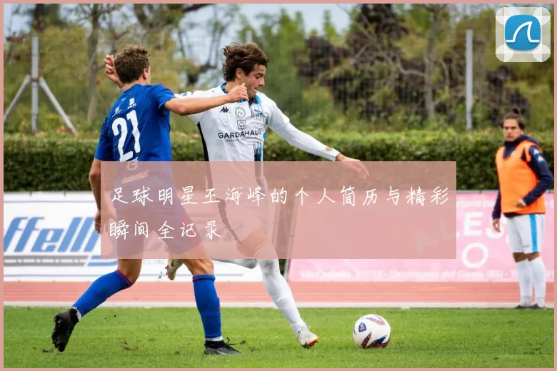 足球明星王海峰的个人简历与精彩瞬间全记录