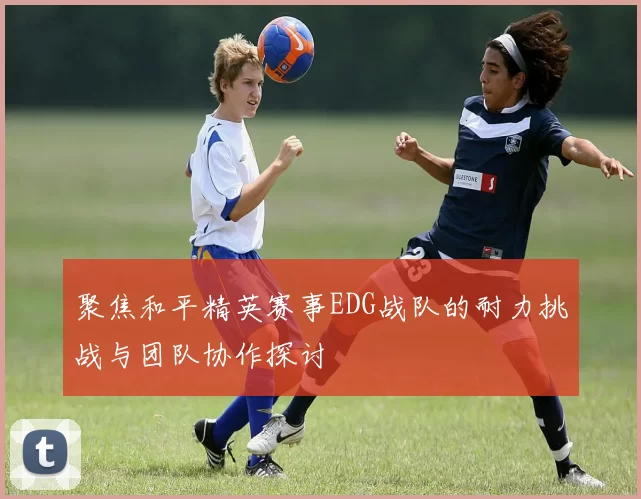 聚焦和平精英赛事EDG战队的耐力挑战与团队协作探讨