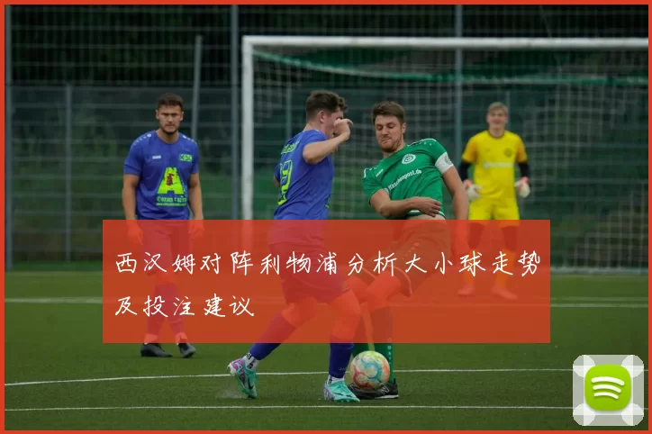 西汉姆对阵利物浦分析大小球走势及投注建议