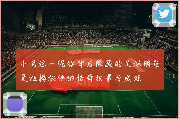 小鸟这一昵称背后隐藏的足球明星是谁揭秘他的传奇故事与成就