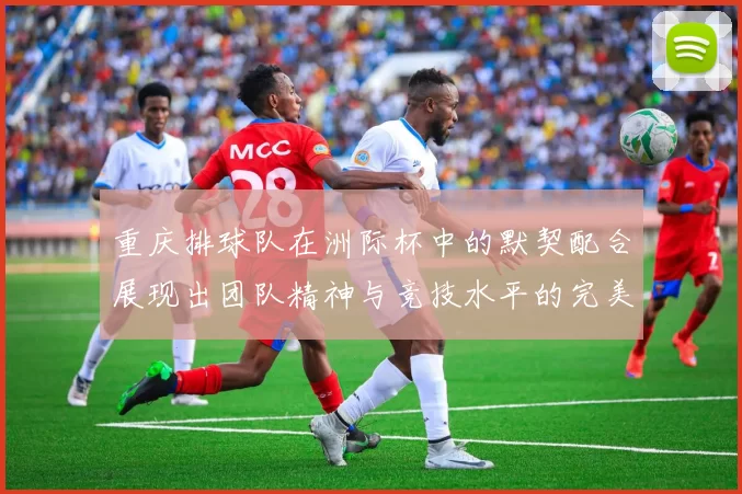 重庆排球队在洲际杯中的默契配合展现出团队精神与竞技水平的完美结合