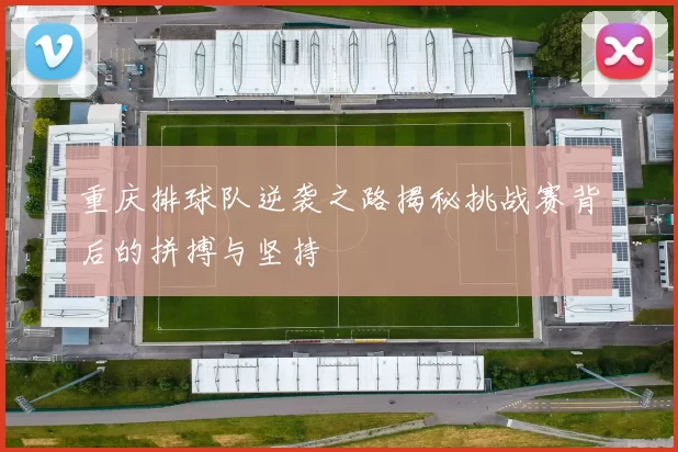 重庆排球队逆袭之路揭秘挑战赛背后的拼搏与坚持