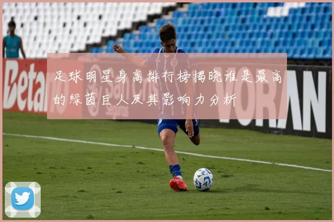 足球明星身高排行榜揭晓谁是最高的绿茵巨人及其影响力分析